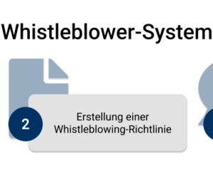 HinschG System